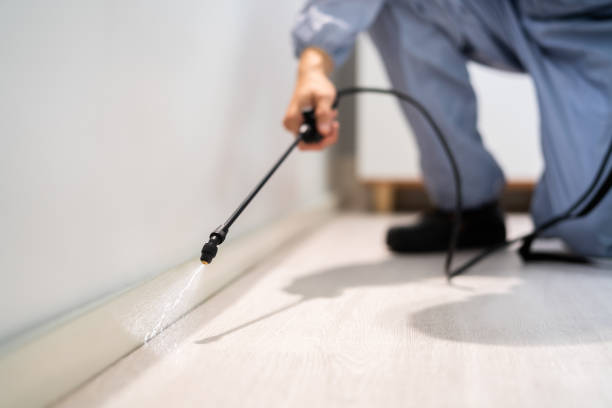 Licensed Mosquito Control service in Cumberland Center, ME - Show Me Pest Control