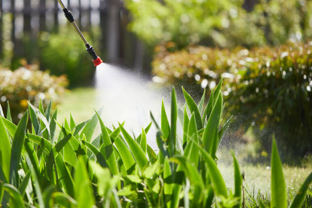 24/7 Emergency Mosquito Control experts in Cumberland Center, ME