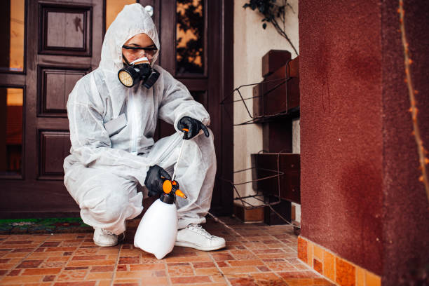 Reliable Mosquito Control contractor in Cumberland Center, ME by Show Me Pest Control