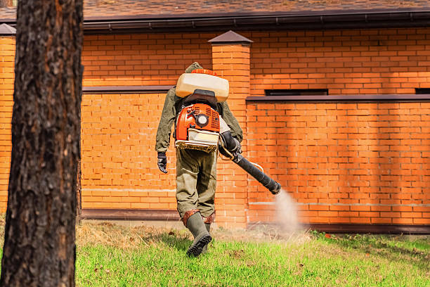 Top rated local Mosquito Control specialists in Cumberland Center, ME